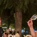 "Вински парк" у Сремској Митровици