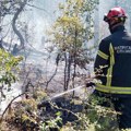 Gorelo oko 200 hektara kod Pirota, požar lokalizovan