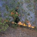 Od šume - zgarište: Vatrogasci još gase požar poviše Ušća u Ibarskoj klisuri