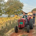 Paprika odlično rodila, kvalitet crvenih plodova fenomenalan a cena ostala ista: Miroslav ima 14 plastenika i to mu je tokom…