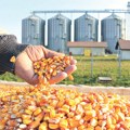 Nebo nad Srbijom okrenulo leđa ratarima: Kiša natapa, a biljke ne rastu – Evo na šta stručnjaci upozoravaju