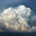 U Karlovcu nevreme rušilo stabla i telefonske stubove