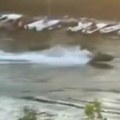 Napad skuterom na kajakaše na Tamišu: Vozač uhapšen, oglasili se savezi