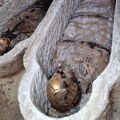 Papirus „Ilijade” prišiven za telo mumije: Otkriće iz Egipta otvara novu misteriju antičkog sveta