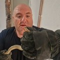 Čuveni zmijolovac Vladica Stanković iz zida kuće u Vranju izvadio poskoka