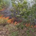 Ukinuta vanredna situacija na području tri naselja u Kladovu, opasnost od požara i dalje postoji