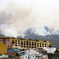 Evakuisano više od 8.000 ljudi sa Tenerifa zbog šumskog požara