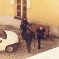 Umesto iz pritvora Nikolić "Kantar" tražio da se brani iz zatvora