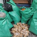 Policija u Temerinu zaplenila 200 kilograma duvana