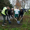 Zaposleni kompanije „Carlsberg Srbija“ u akciji sadnje obnovili park u Čelarevu