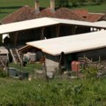 Tišinu na mestu tragedije prekinuli zvuci hitne pomoći Jutro posle velike nesreće kod Topole pet osoba nastradalo od…