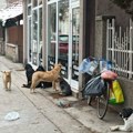 Kreni – Promeni: „Životinje u katastrofalnim uslovima, Nacrt zakona donosi novu korupciju“