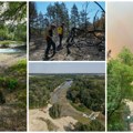 Dunav se povlači, a sa njim nestaje i život! Rukavci, bare i poplavne šume na udaru suše, ribe ostaju zarobljene, a neke vrste…