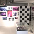 "Podzemna galaksija" u Muzeju nauke i tehnike: Ljubav prema mineralima pretočena u umetnička dela (video)