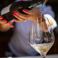 Srpski proizvođači vina i rakije predstavili se u Pragu
