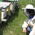 Marija iz Blaca je jedina žena pčelar u Topličkom okrugu: Pre pet godina se prvi put susrela sa pčelama a sada proizvodi…