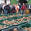 Porodica iz Temerina počela sa lešnicima, ali tek sa ovim voćem im je sve krenulo