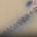 Telo žene u čeljustima krododila Tragedija u Istočnoj Indiji (foto)
