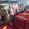 Hapšenje u Salašu Noćajskom zbog kršenja mera za suzbijanje afričke svinjske kuge