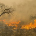 Vatra guta sve pred sobom kod Herceg Novog; Širi se neverovatnom brzinom