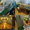 Zrenjaninac Branislav Frenc pravi neverovatne makete Most na Tamišu izuzetno zahtevan