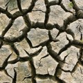 Suša ruši ekonomiju? Pogoršanje vodene krize može uticati na suverenu kreditnu snagu Indije