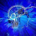 Naučnici smatraju da su otkrili neurološki uzrok anoreksije