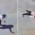 "Samo me pregazite": Snimak žena koja se sapliće i pada postao viralan, komšija vrištao od smeha