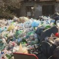 Divlja deponija nadomak kuća, a kontejneri prazni: Stanovnici Krnjače mole za rešenje, ali ih niko ne čuje