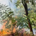 Požar u Prokuplju, zamalo da uđe u školsko dvorište