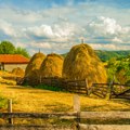 Evo kako izgleda popis u poljoprivredi i šta najviše zanima ratare: Ovo su najčešća pitanja i nedoumice