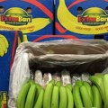 Grčka policija zaplenila 270 kilograma kokaina sakrivenog u bananama
