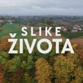 Slike života, nedelja u 15.15h: Čuvarkuća