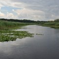 Tribina „Prirodna bogatstva Vojvodine” u Gradskoj biblioteci na Štrandu: Ko čuva prirodu Vojvodine i može li priroda danas bez…