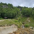 Beloglavi sup nova gnezdarica u Sopotnici