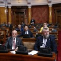 Mihailović poručio Vladi: Hitno povećati minimalnu cenu rada, cene životnih namirnica uzletele