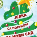 Ukrasi od recikliranog materijala: Manifestacija "Jelka sa porukom" na Detelinari u Novom sadu, u subotu, 21. decembra