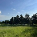 Mehaničko i hemijsko suzbijanje ambrozije