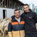Za jednu isporuku otkupljuju jagnjad tri meseca! Iz Srbije krenulo 5.000 grla za Izrael: Uskoro novu turu (foto)