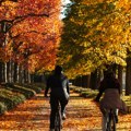 Prvog dana vikenda jutarnji mraz, a onda pravo iznenađenje: Temperatura do 22 stepena, evo kakvo nas vreme čeka do kraja…