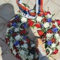 Završila sam nam ovo Nikšićani Nova bruka u Crnoj Gori: Gazila nogom venac na spomeniku kralju Nikoli, pa ga bacila u…