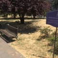 Park na Slaviji nosiće ime Dušana Jovanovića, dečaka koga su skinhedsi pretukli na smrt