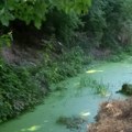 Stanari niškog naselja Ratko Jović žale se na neprijatan miris iz Humskog potoka, strahuju od zaraza