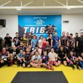 8 medalja za Tribal Sirmium – Mitrovčani rame uz rame sa najboljim MMA klubovima Srbije!