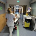 Opasna bolest stiže u Evropu Naučnici upozoravaju da bi mogla da se proširi na velike gradove, zahteva se hitna reakcija
