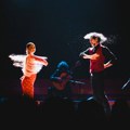 Nova sezona Plave dvorane SC: strast flamenka, povratak domaćeg junaka i baletska bajka koja se ne propušta