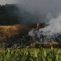 Požar u niškom naselju se proširio sa niskog rastinja na obližnje objekte