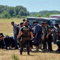 MUP o velikoj akciji na severu Srbije: Nađen 371 ilegalan migrant, zaplenjeno vatreno oružje