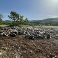 Arheolozi istražuju stećke kod Bileće: Pokušavamo da utvrdimo koje su sve razlike unutar ovog fenomena