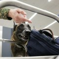Carinici otvorili torbu putnika, pa ostali u šoku! Muškarac zadržan na aerodromu zbog jednog detalja